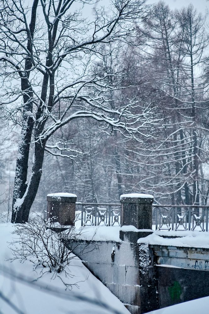 Фотография автора Екатерина Мишкель