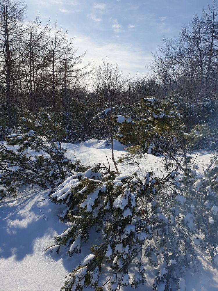 Photograph by Денис Заславский