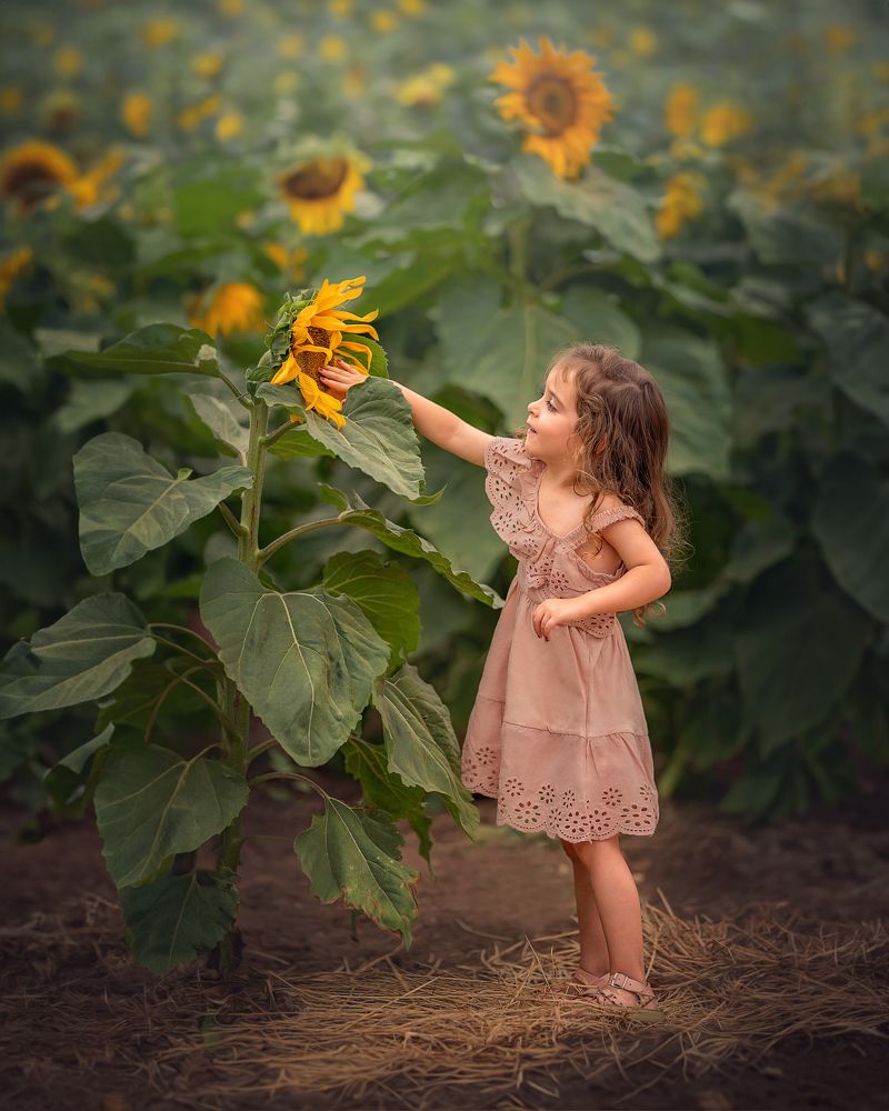 Photograph by Arie Abramov