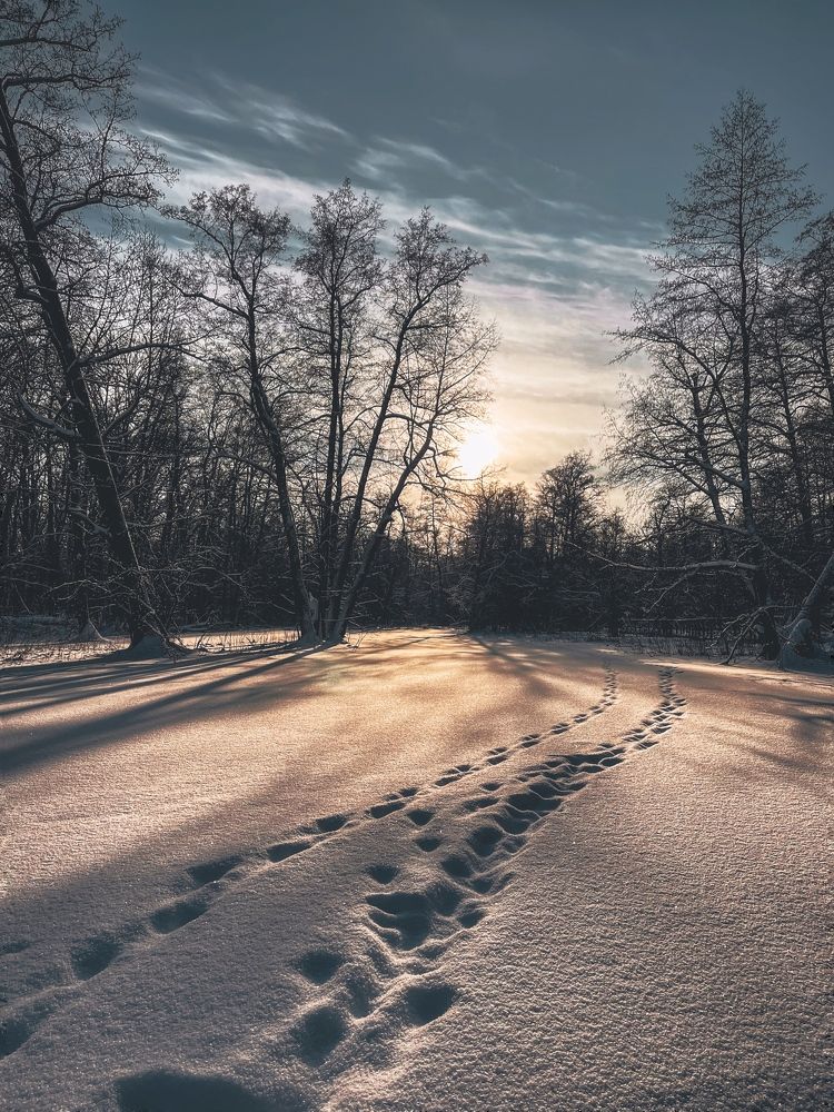 Photograph by Виктория Селютина