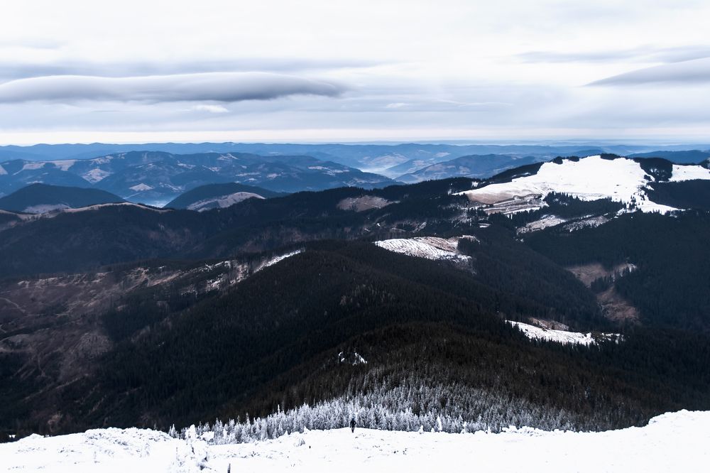 Фотография автора Gradinar Iulia