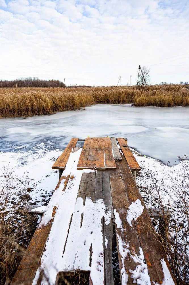 Photograph by Ирина Левакова