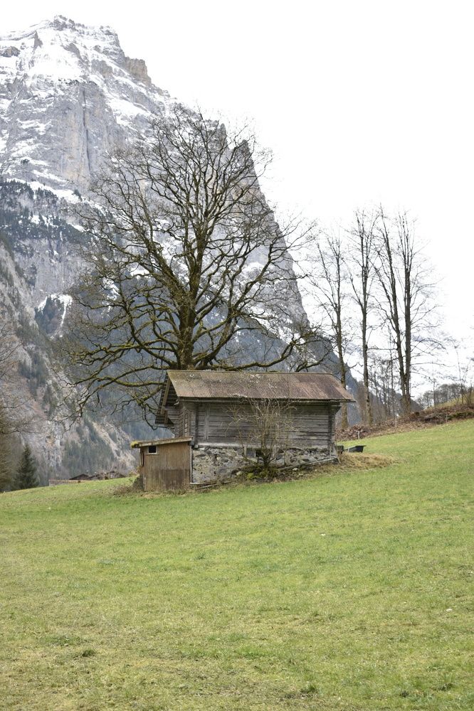 Фотография автора Daniela Stanojkovska