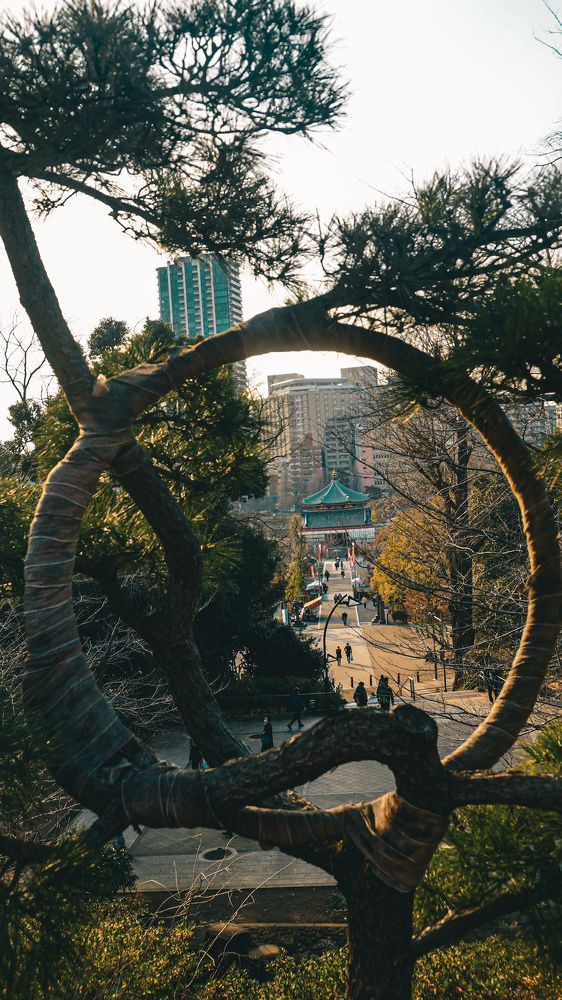 Photograph by Ascanio Fernández Pinto Urbina