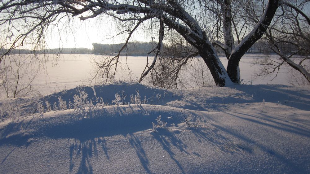 Photograph by Елена Процек