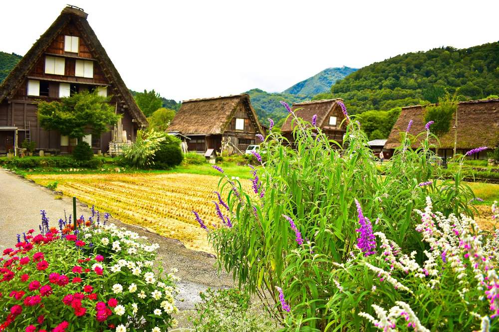 Фотография автора Sen Abhijit