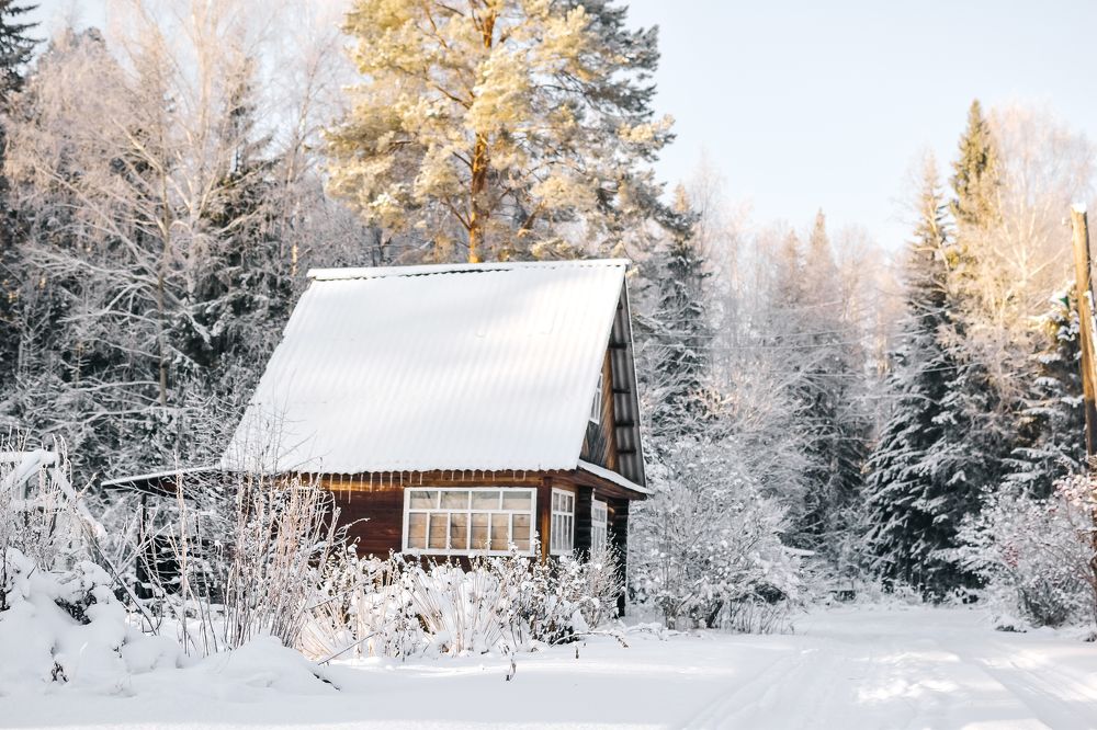 Зимняя сказка