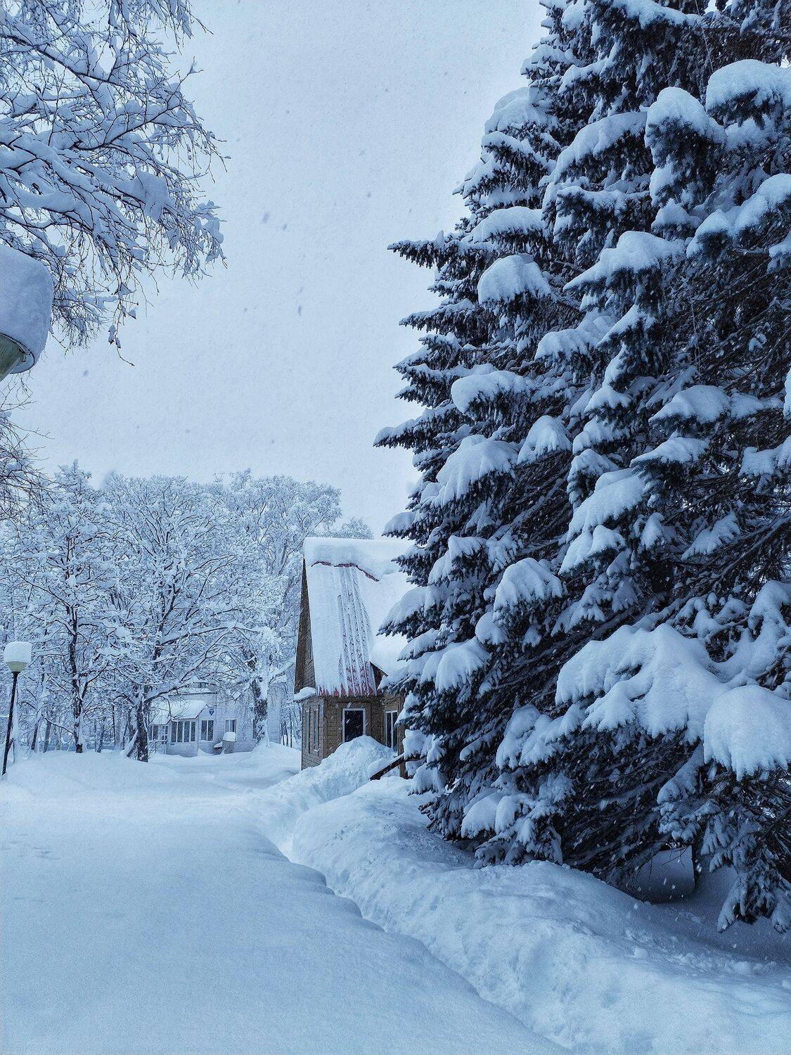 Photo #10143311