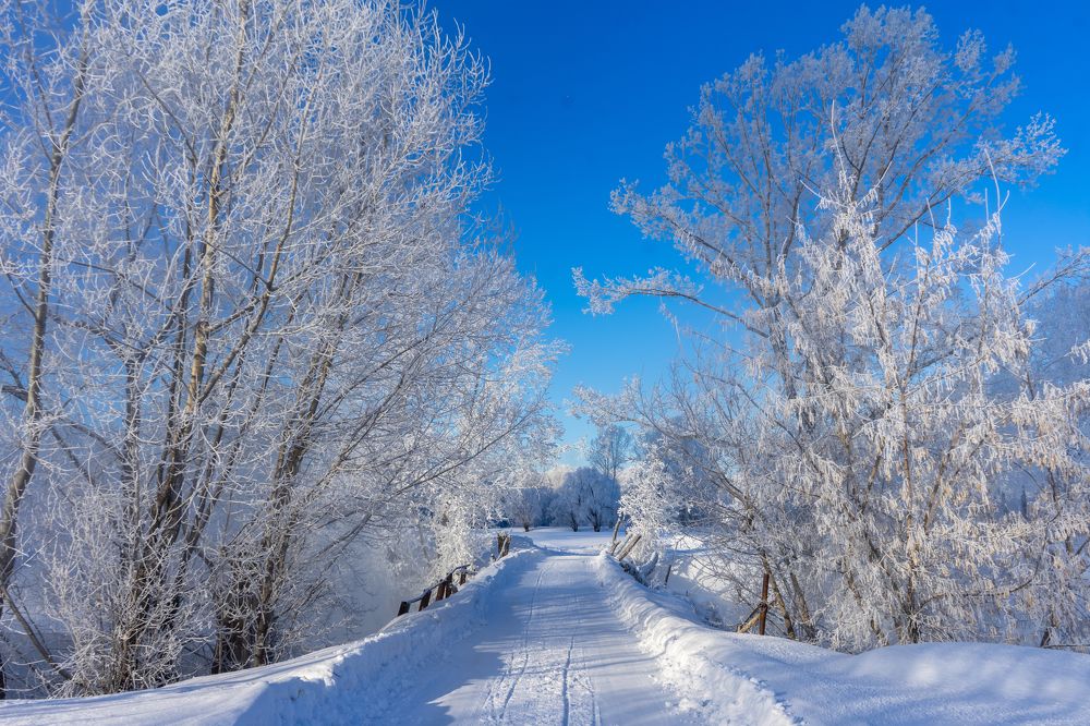 Фотография автора Виталий Гавронский