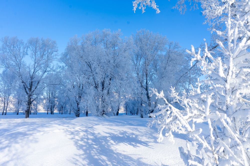 Фотография автора Виталий Гавронский
