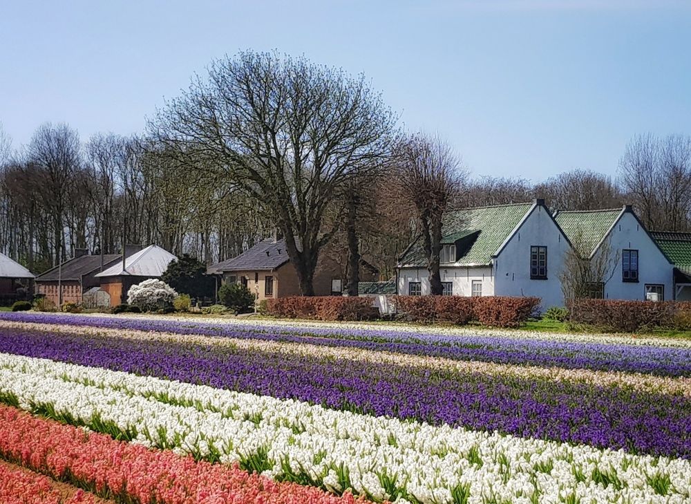 Фотография автора Henri Fitriadi