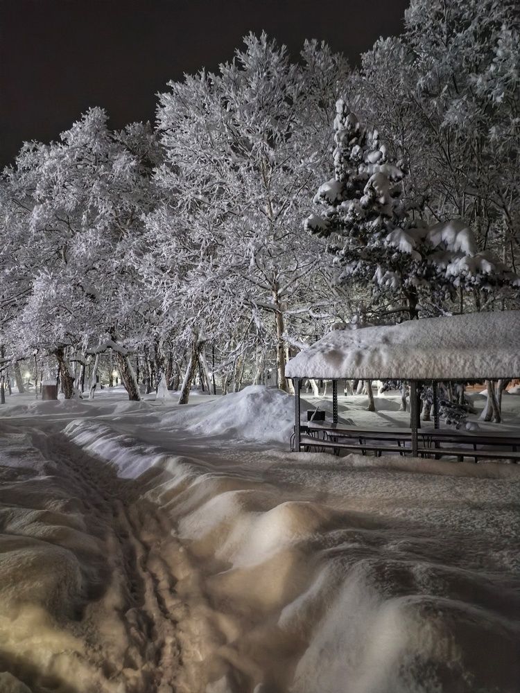 Под снежным одеялом❄