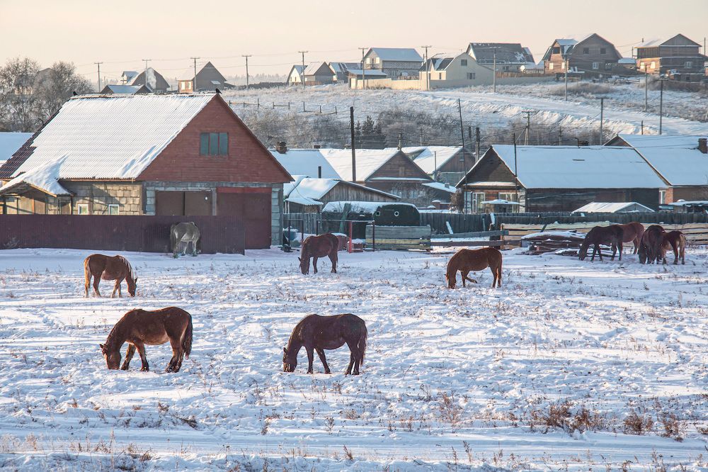 Photograph by Юрий Борик