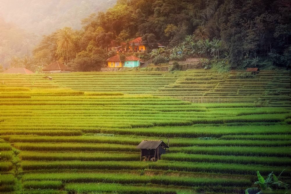 Фотография автора Henri Fitriadi