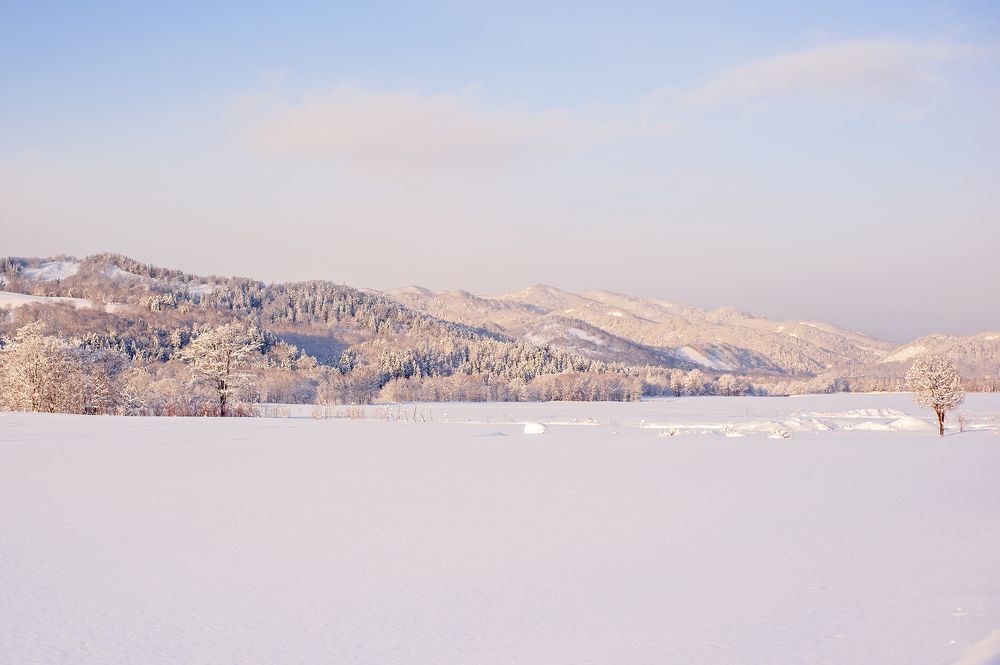 Photograph by Максим Тыщенко