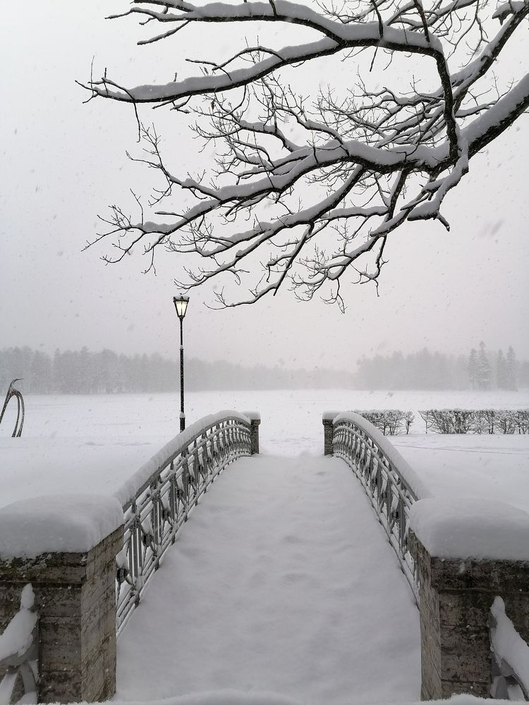 Photo #10143397