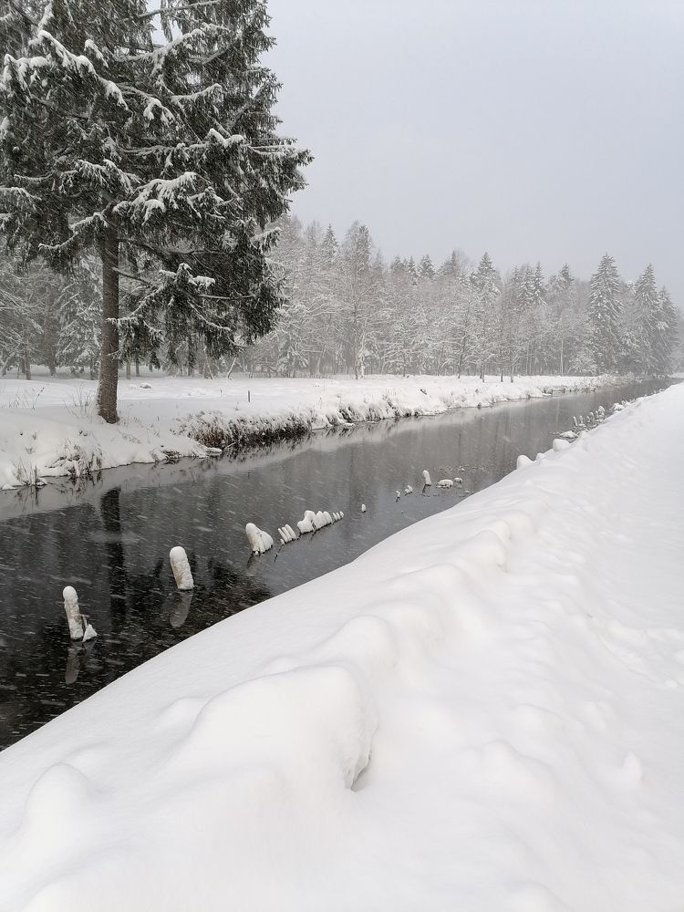 Photo #10143404