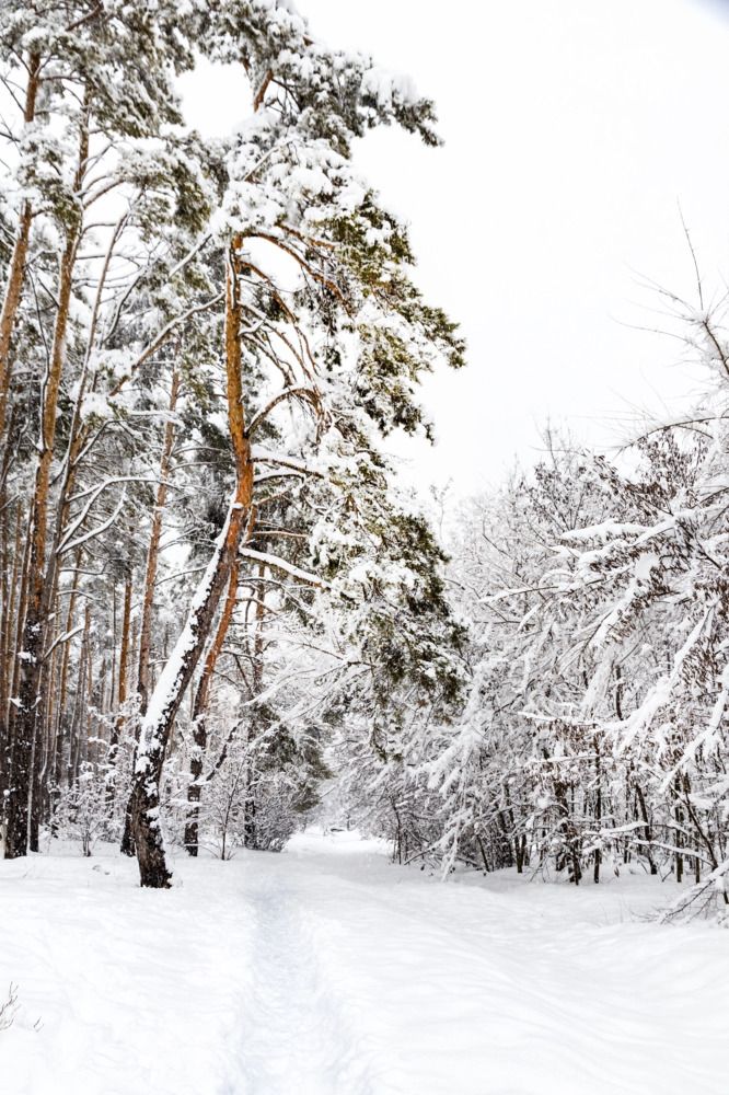 Photograph by Дмитрий Тимин