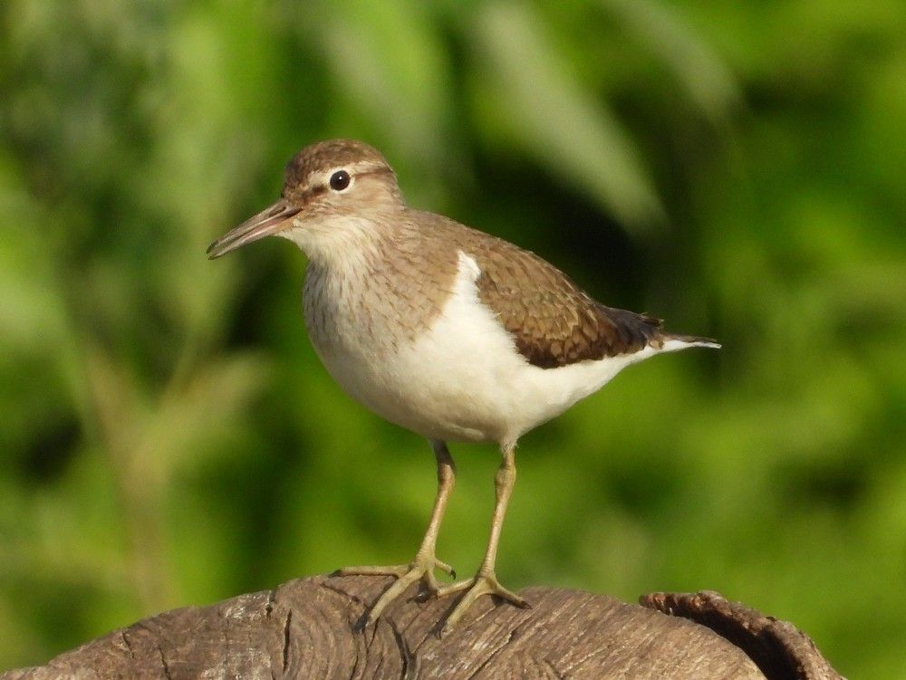 Photograph by Владимир Джерихов