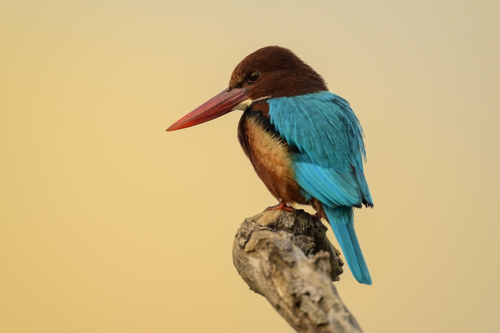 Photograph by Пупонин Сергей