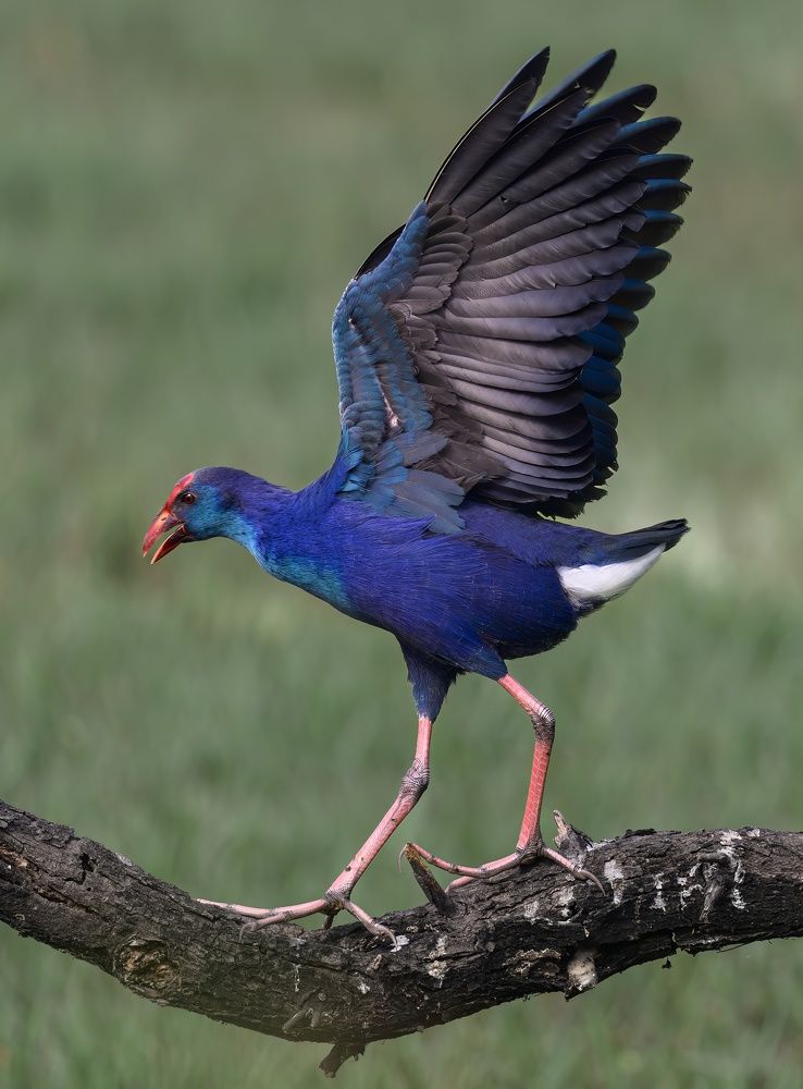 Photograph by Пупонин Сергей