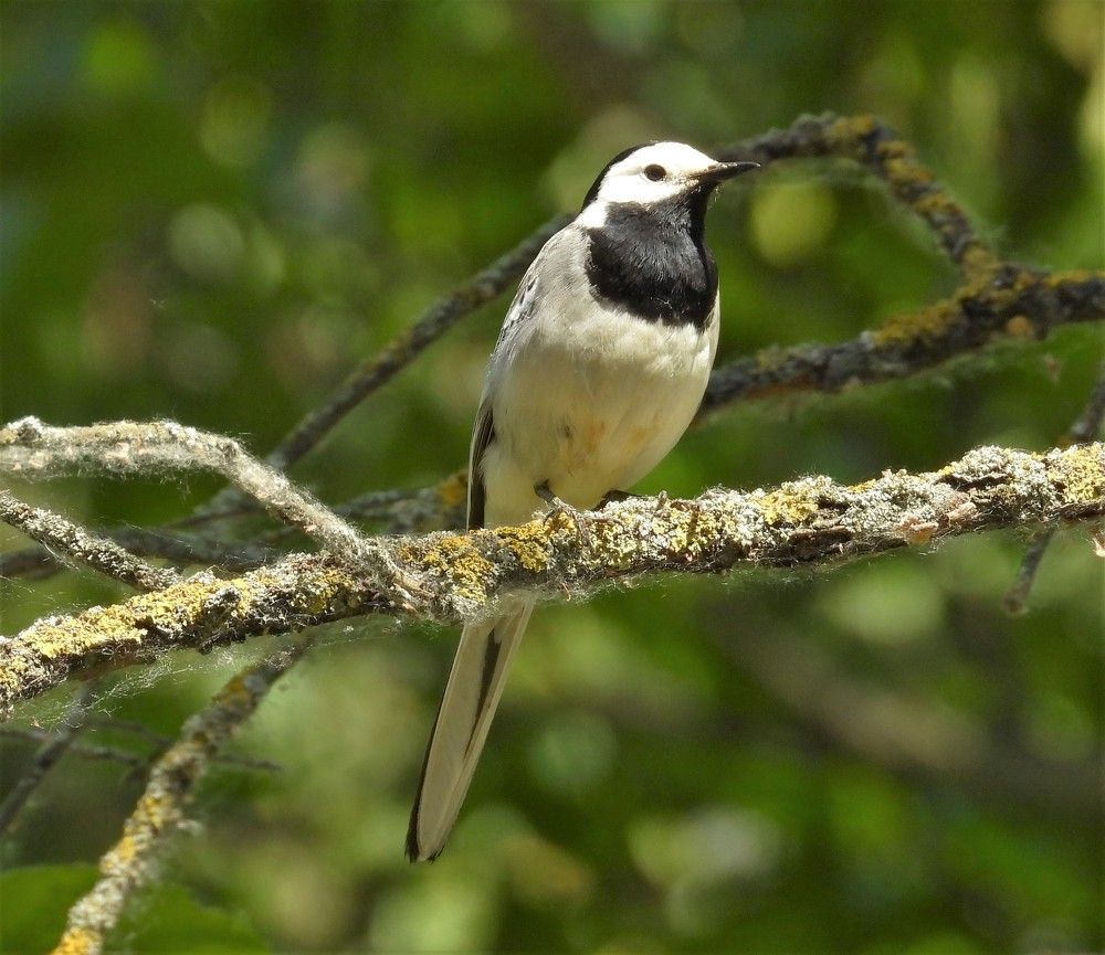 Photograph by Владимир Джерихов