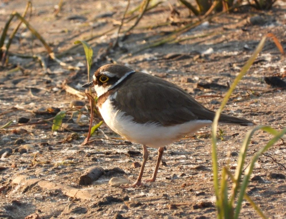 Photograph by Владимир Джерихов