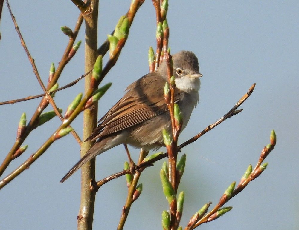 Photograph by Владимир Джерихов