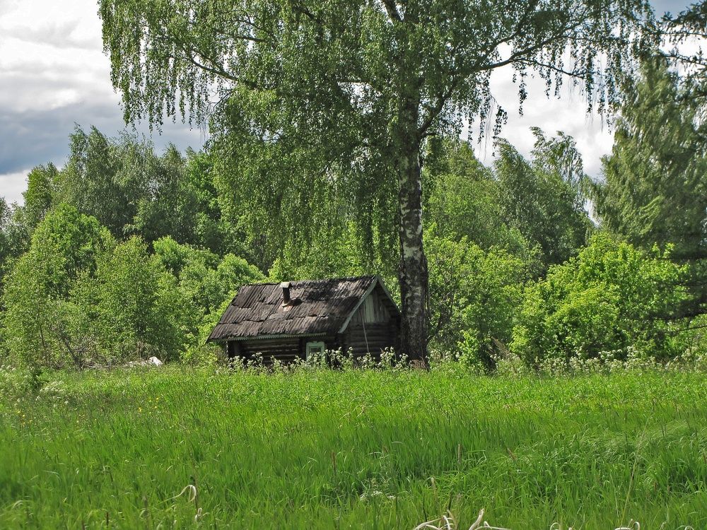 Забытая деревня Лемеховка