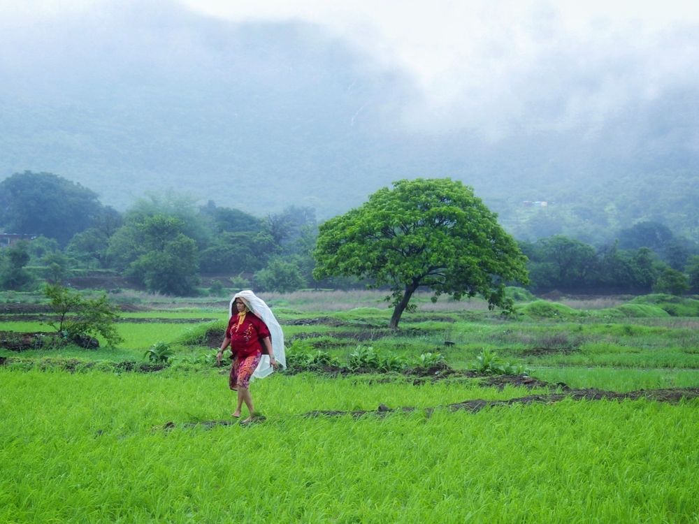 Photograph by Nikhil More