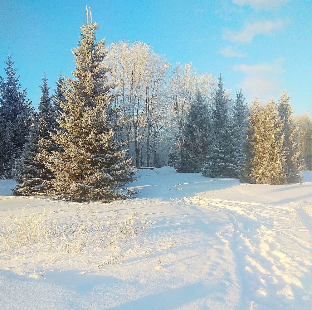 Photograph by Татьяна Кунц