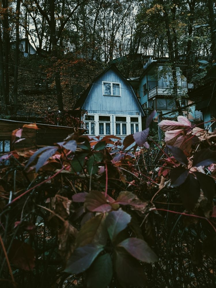 Photograph by Алексей Гуминский