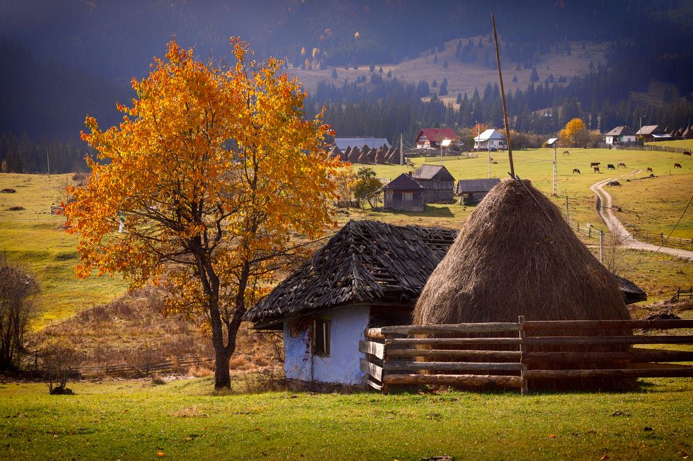 Photograph by Cornelia Ghergut