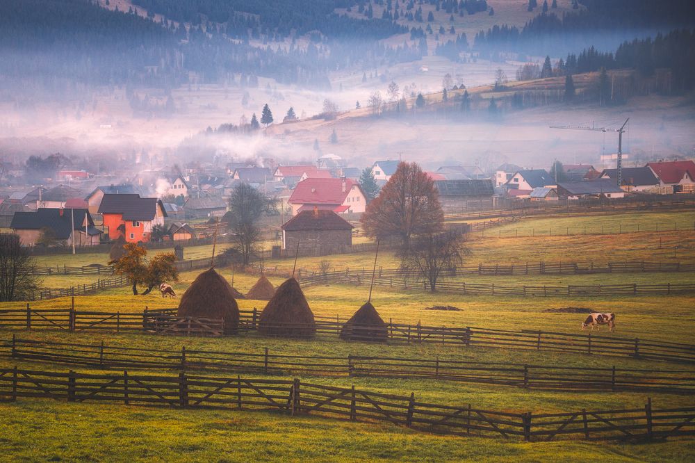 Фотография автора Cornelia Ghergut