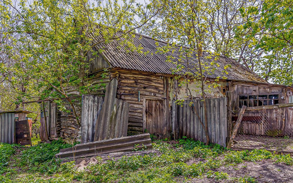 Фотография автора Николай Бологов