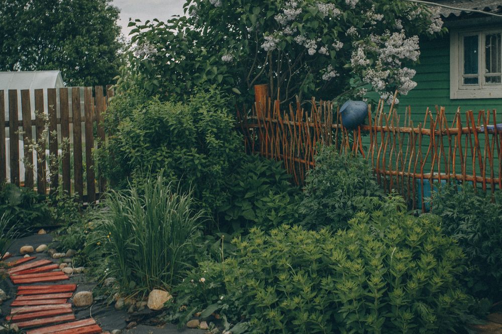 Photograph by Татьяна Соколова