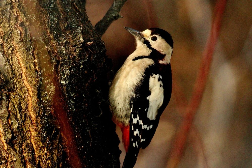 Photograph by Анна Восковых