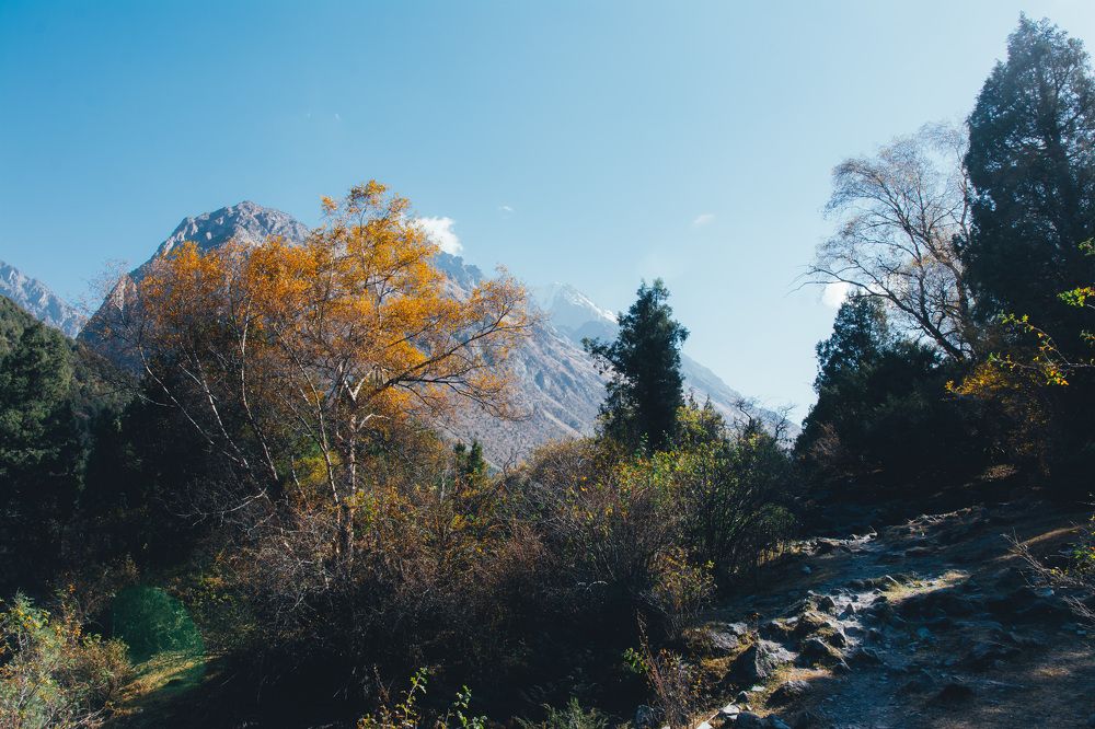 Photograph by Василий Шумкин