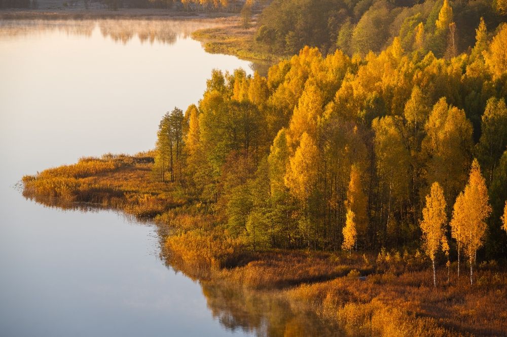 Photograph by Roman Dmitriev