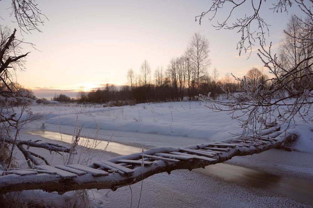 Photograph by Елена Копейкина