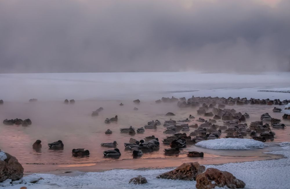 Photograph by Александр Пургин