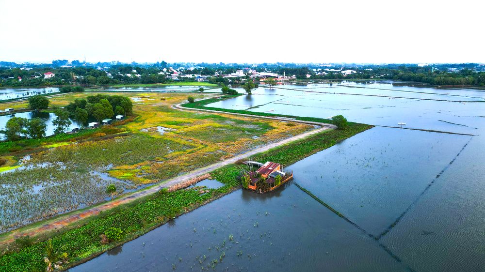 Ngôi nhà giữa đồng