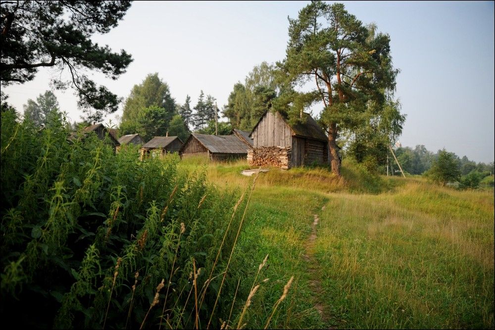 Фотография автора Дарья Васильева