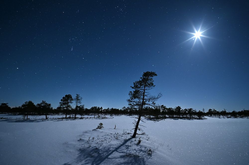 Orion + Moon 01.2024