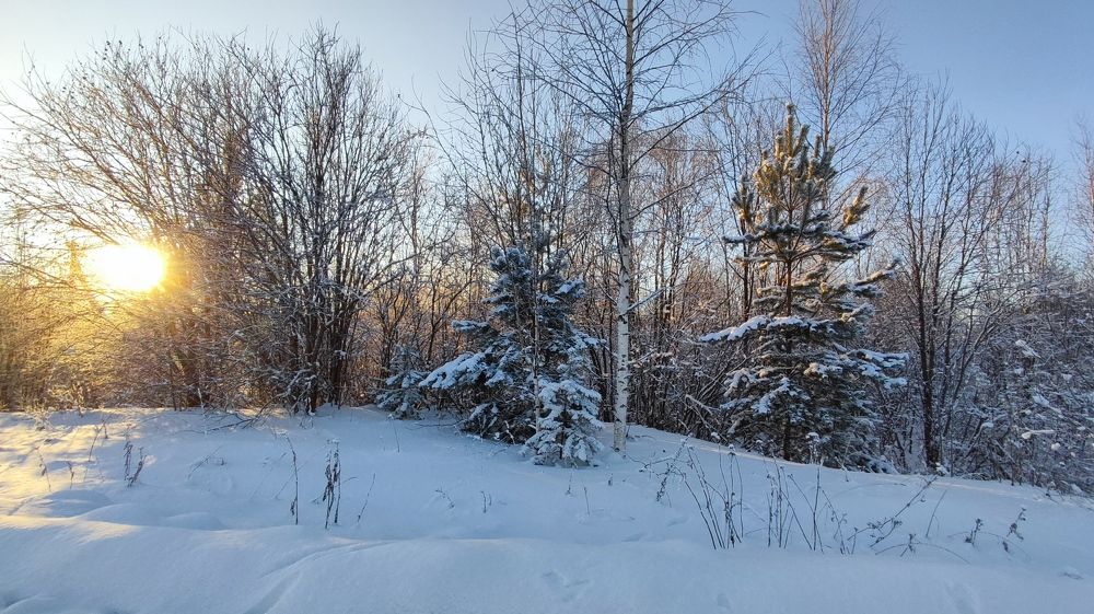 Photograph by Марина Артемьева