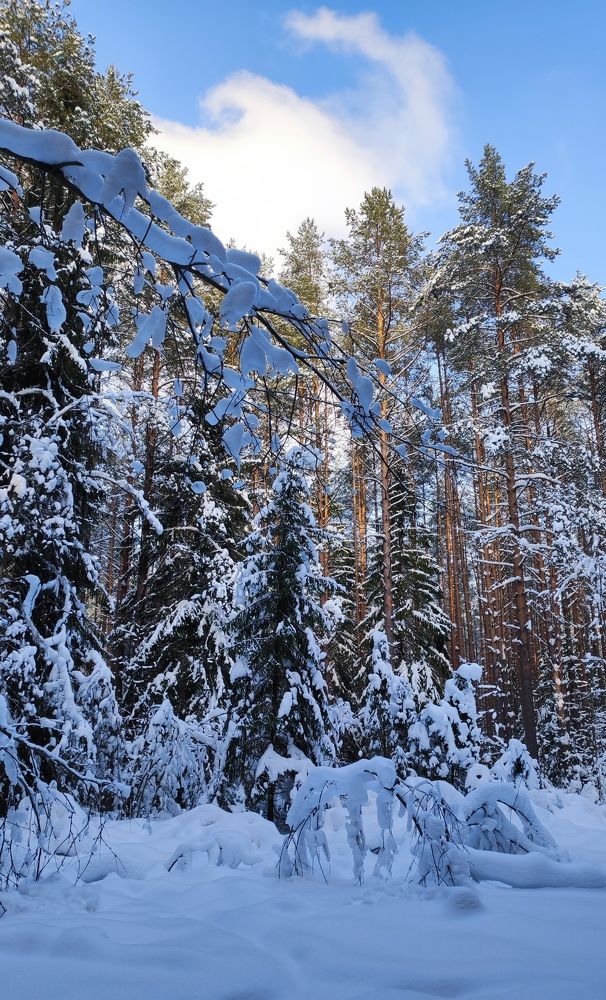 Photograph by Марина Артемьева