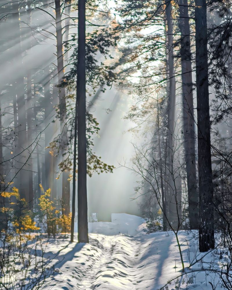 Photograph by Кузнецов Дмитрий