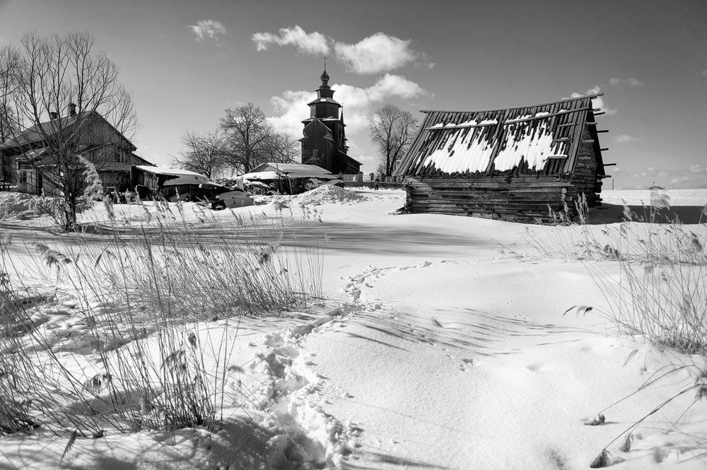 Фотография автора Дарья Васильева