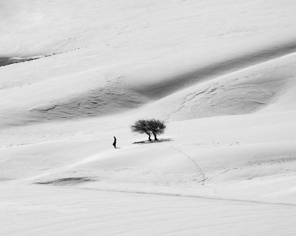 Фотография автора mohammad Alipour