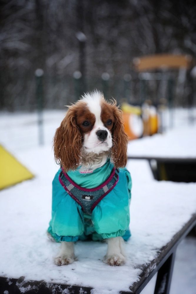 Photograph by Анна Корнейко